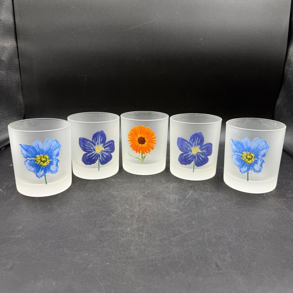Vintage Dartington Designs France Frosted Lowball Glass Set 5 Floral Whiskey